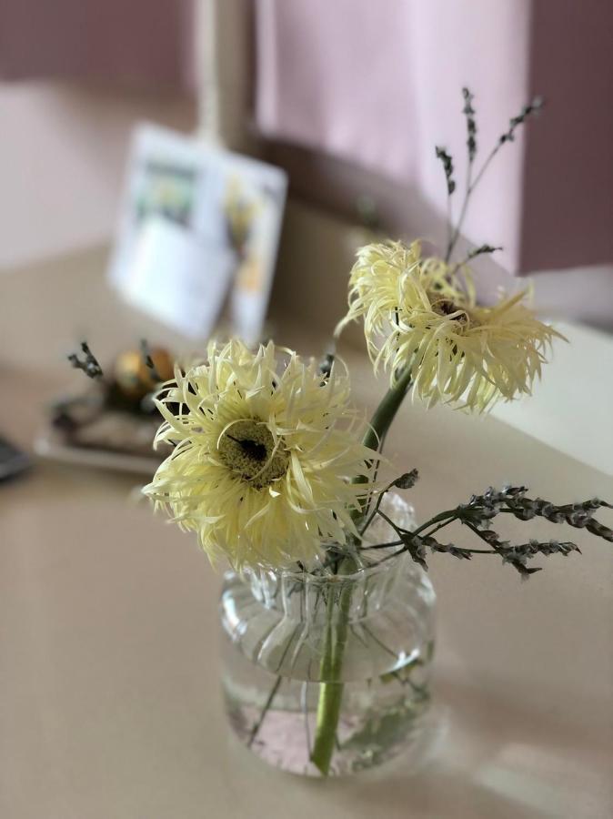 卡布-花藝小民宿 Taitung Floral B&B المظهر الخارجي الصورة